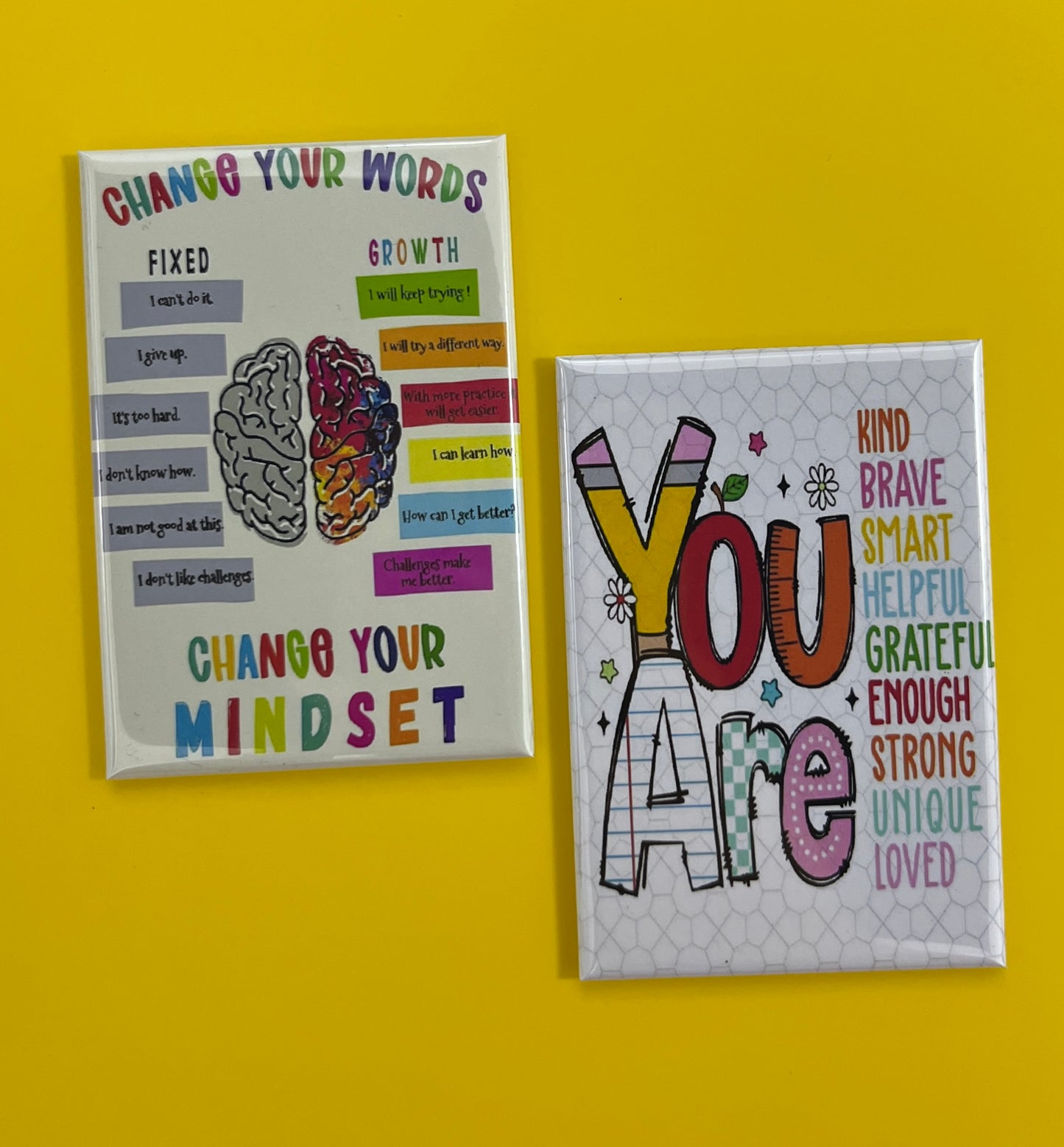 6 Rectangle Magnets